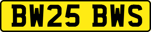 BW25BWS