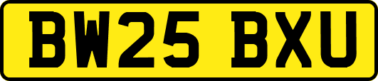 BW25BXU