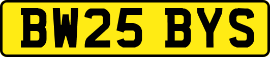 BW25BYS