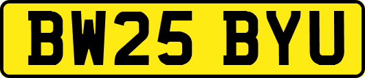 BW25BYU