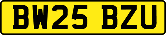 BW25BZU
