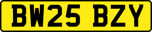 BW25BZY
