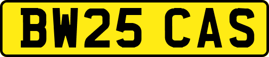 BW25CAS
