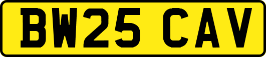 BW25CAV