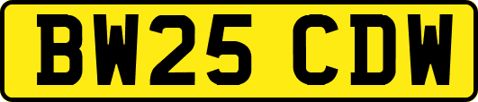 BW25CDW