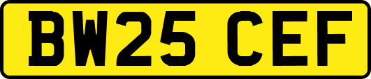 BW25CEF
