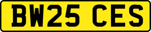 BW25CES