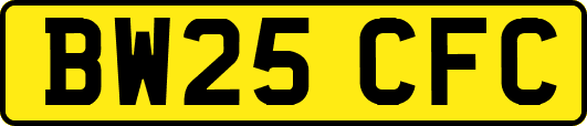 BW25CFC