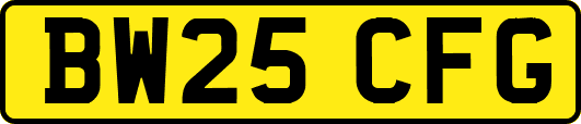 BW25CFG