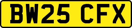 BW25CFX