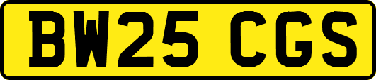 BW25CGS