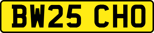BW25CHO