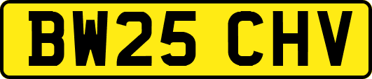BW25CHV