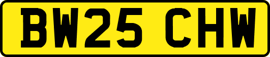 BW25CHW