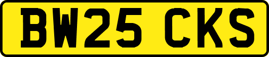 BW25CKS
