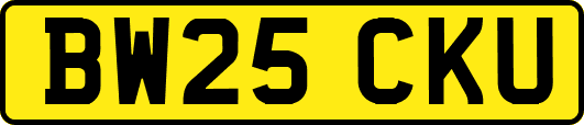 BW25CKU