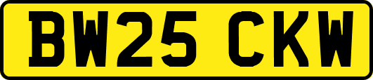 BW25CKW