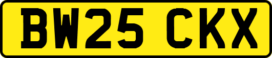 BW25CKX