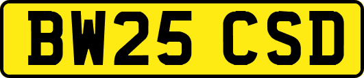 BW25CSD