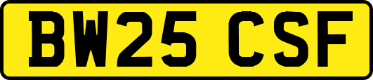 BW25CSF