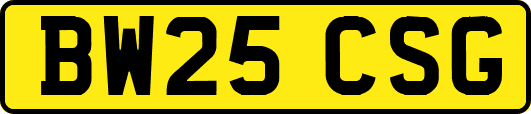 BW25CSG