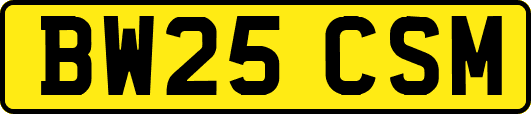 BW25CSM