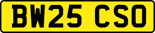 BW25CSO