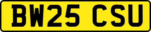 BW25CSU