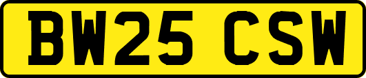 BW25CSW