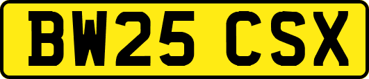 BW25CSX
