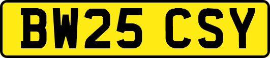 BW25CSY