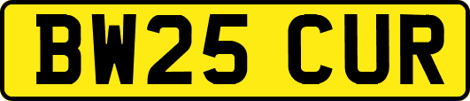 BW25CUR