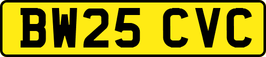 BW25CVC