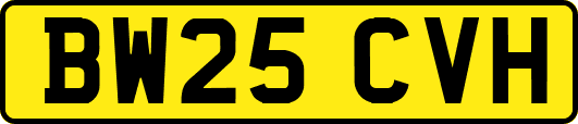 BW25CVH