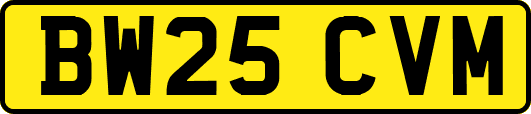 BW25CVM