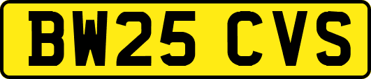 BW25CVS
