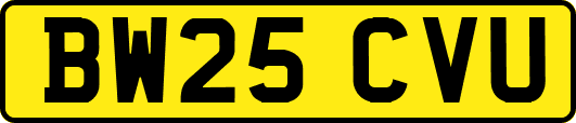 BW25CVU