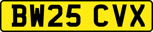 BW25CVX