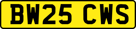 BW25CWS