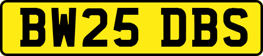 BW25DBS
