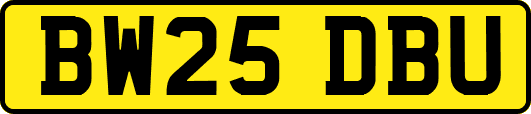 BW25DBU