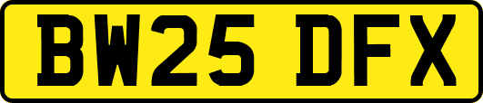BW25DFX
