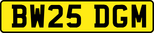 BW25DGM