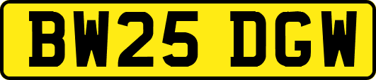 BW25DGW