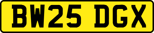 BW25DGX