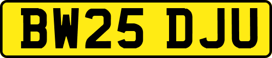 BW25DJU