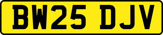 BW25DJV