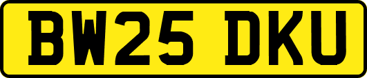 BW25DKU