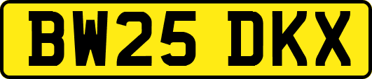 BW25DKX