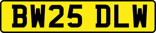 BW25DLW